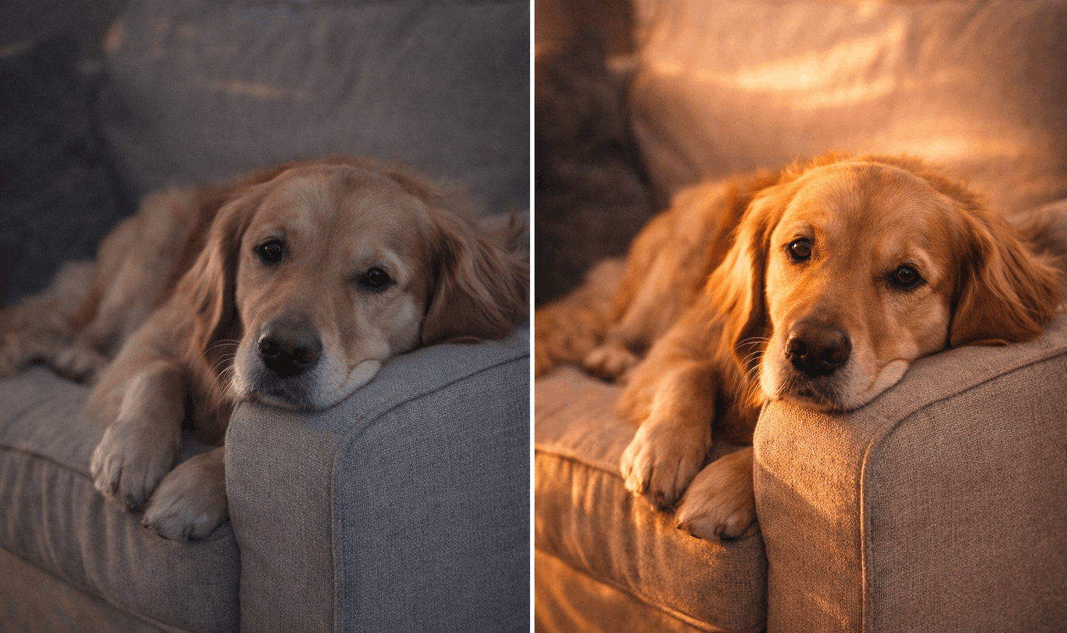 Composition before and after